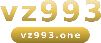 vz993 logo